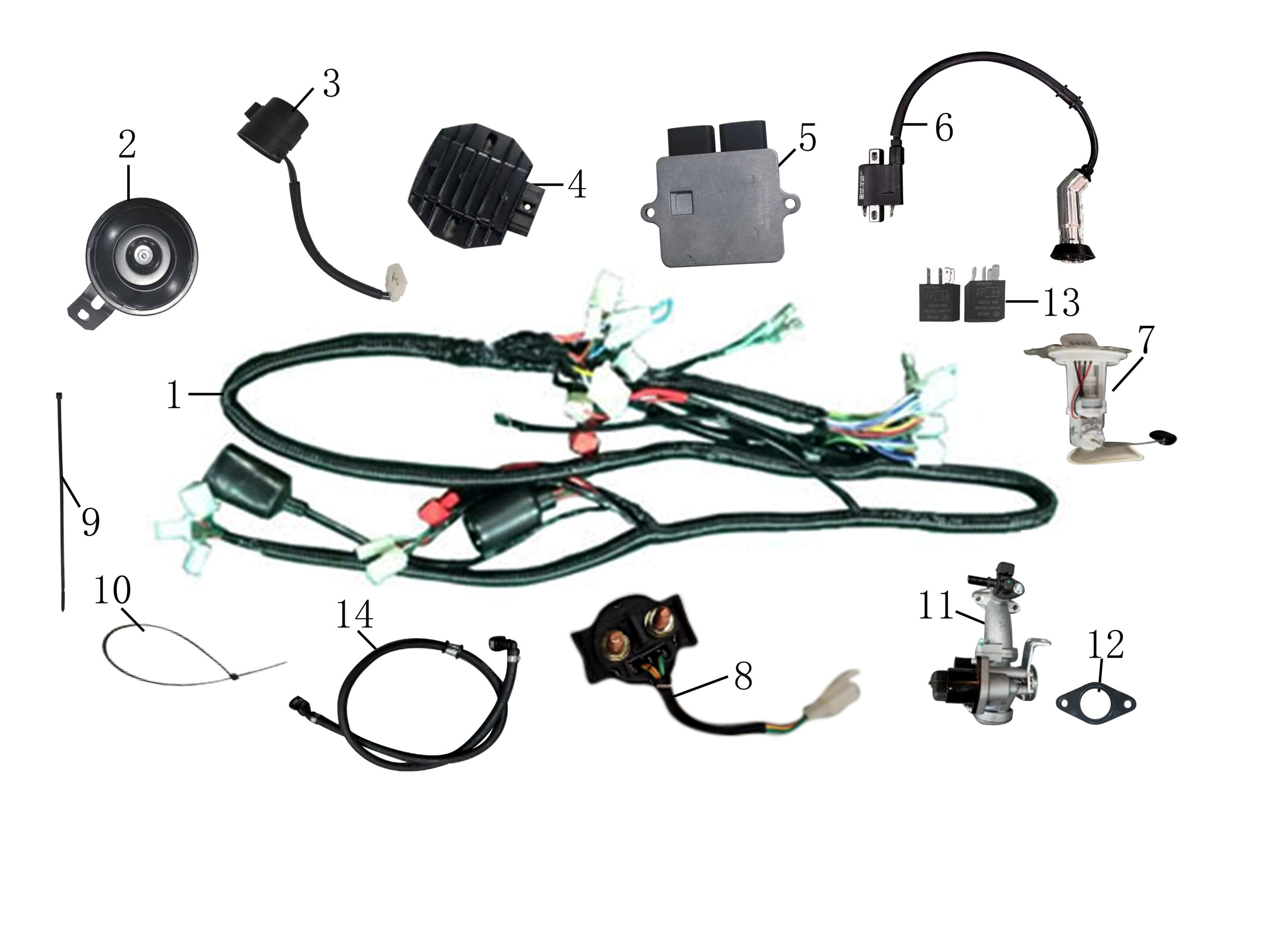 Divers scooter électrique